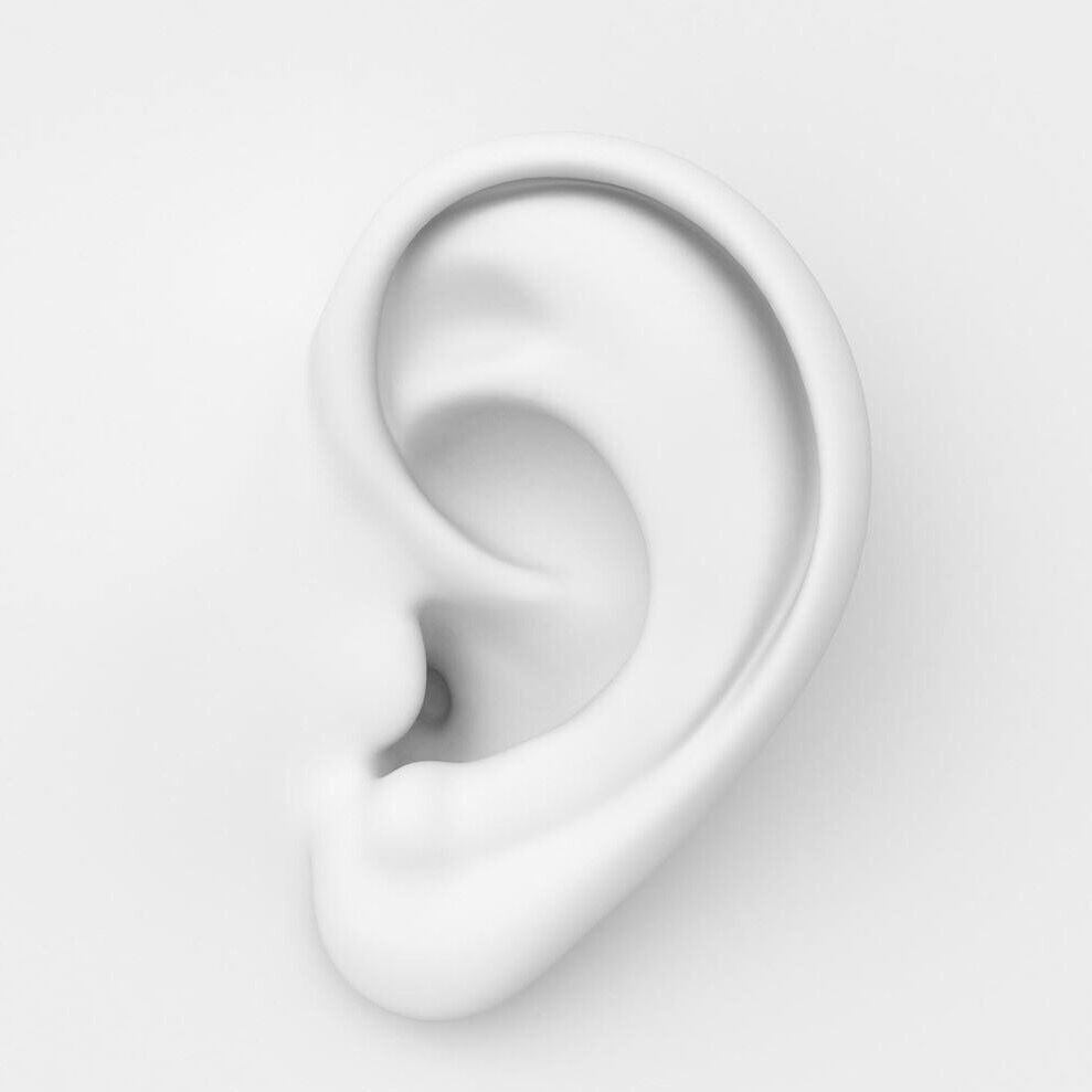 zhi xiang dui ni shuo