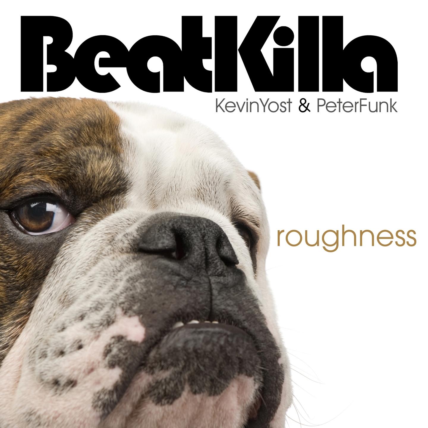 BeatKilla: Roughness