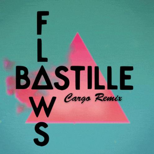 Flaws ( Cargo Remix )