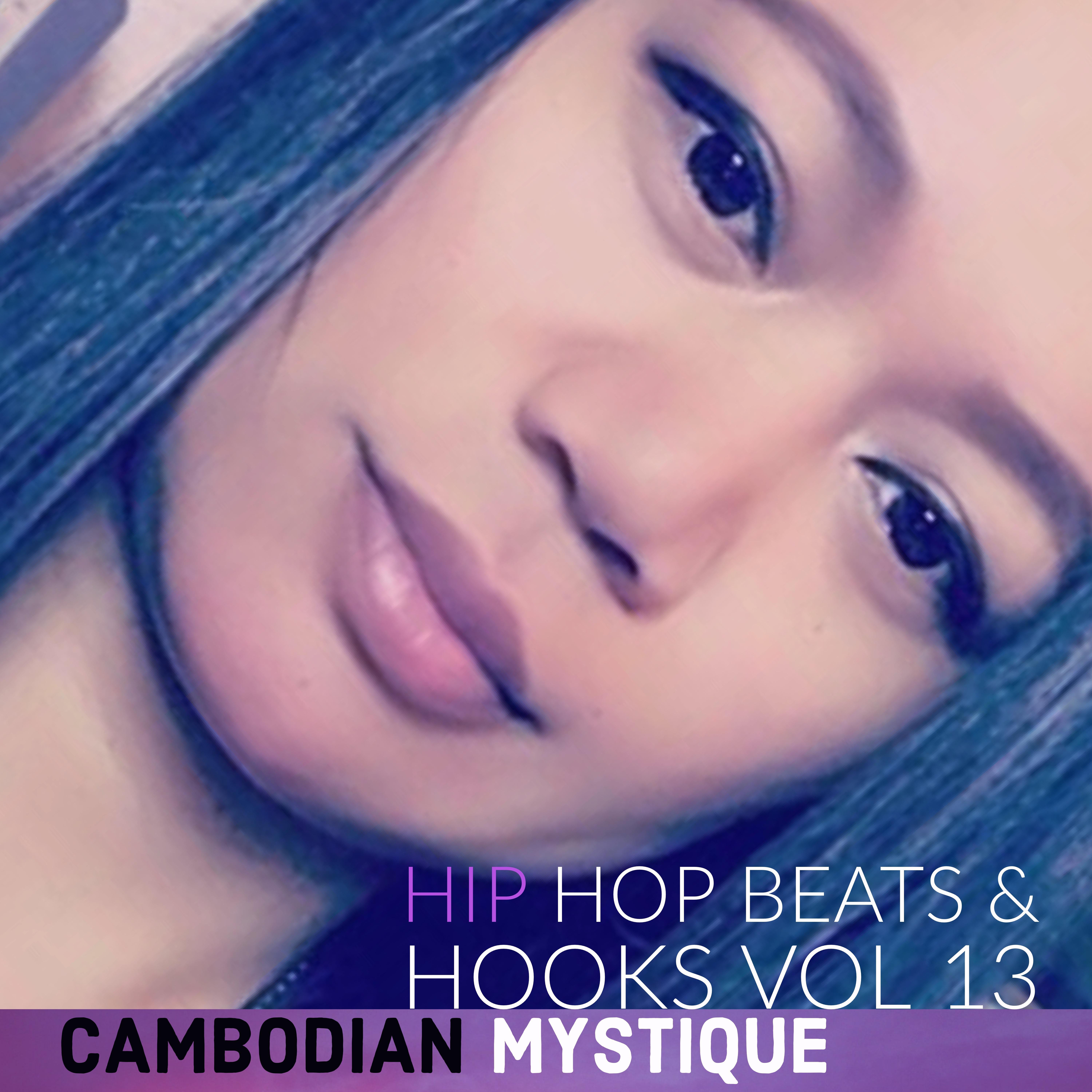 Hip Hop Beats & Hooks, Vol.13