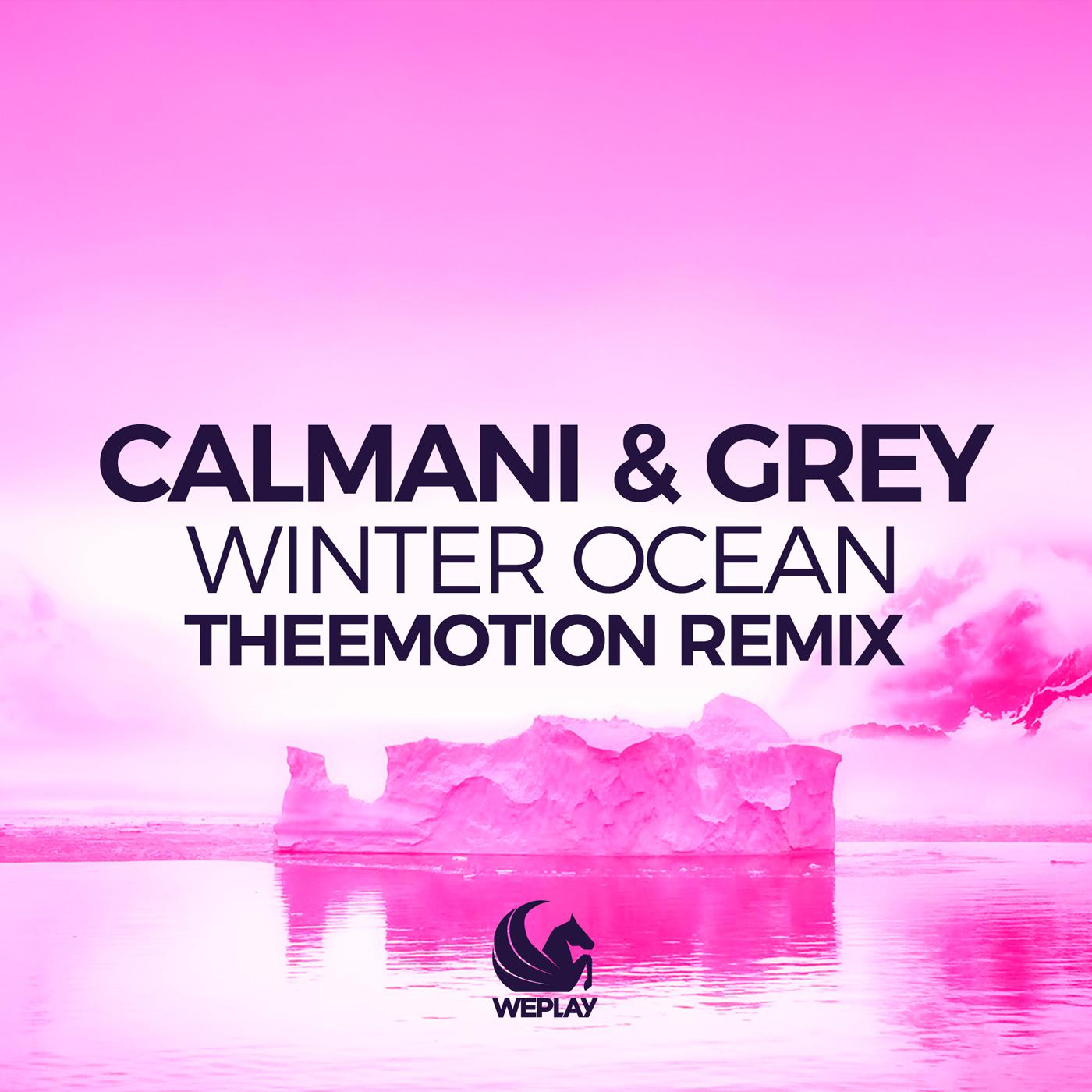 Winter Ocean (Theemotion Extended Remix)