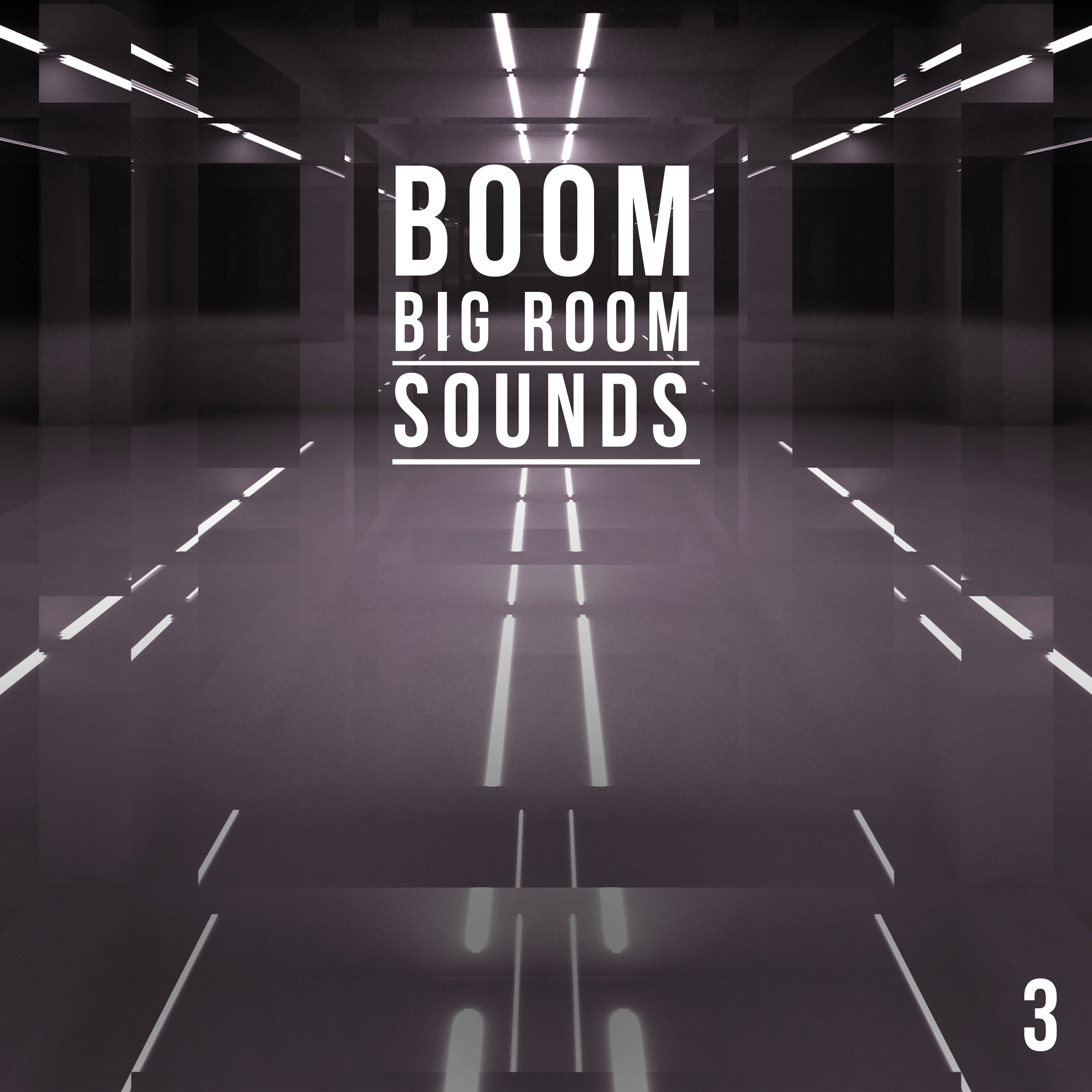Boom, Vol. 3 - Big Room Sounds