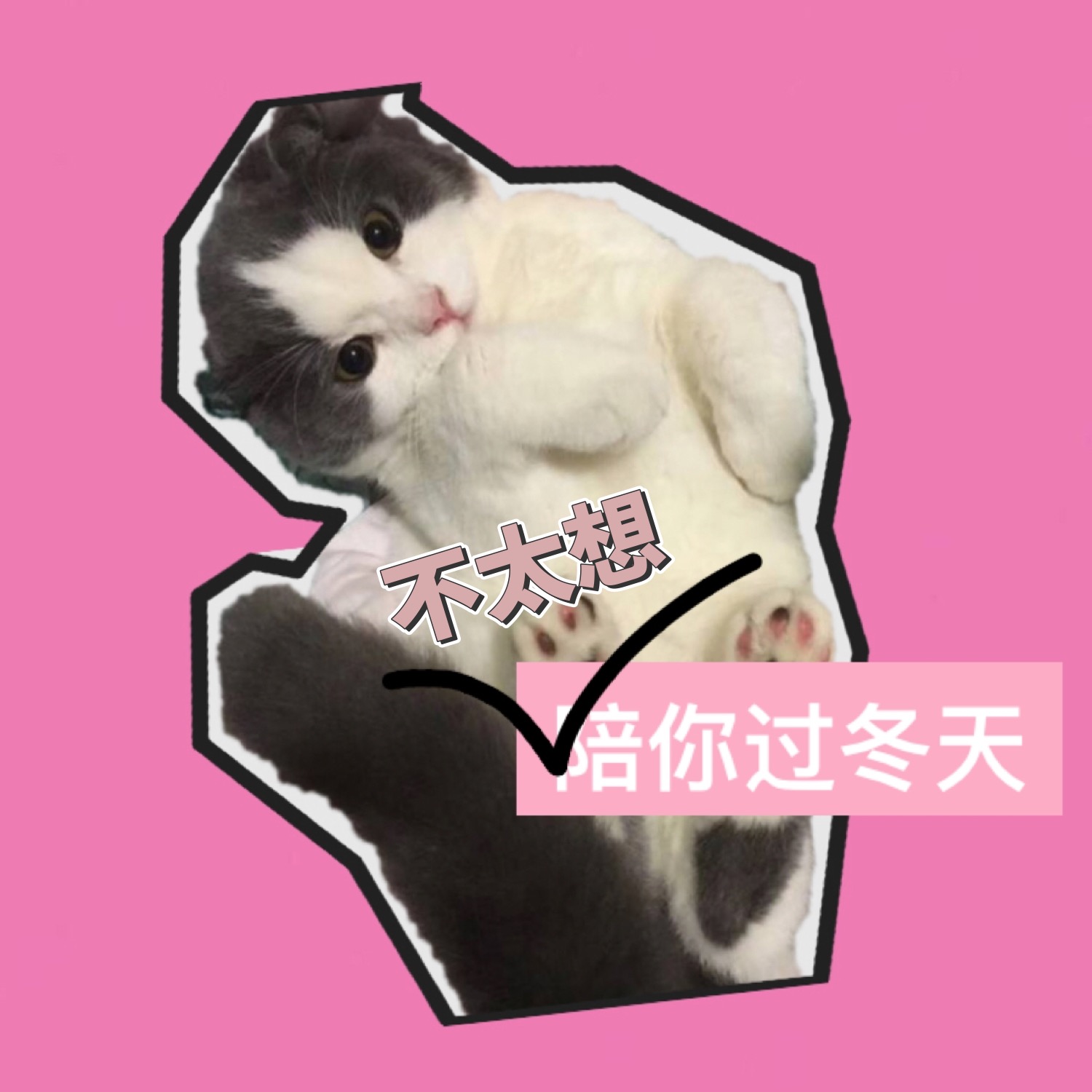 bu tai xiang pei ni guo dong tian