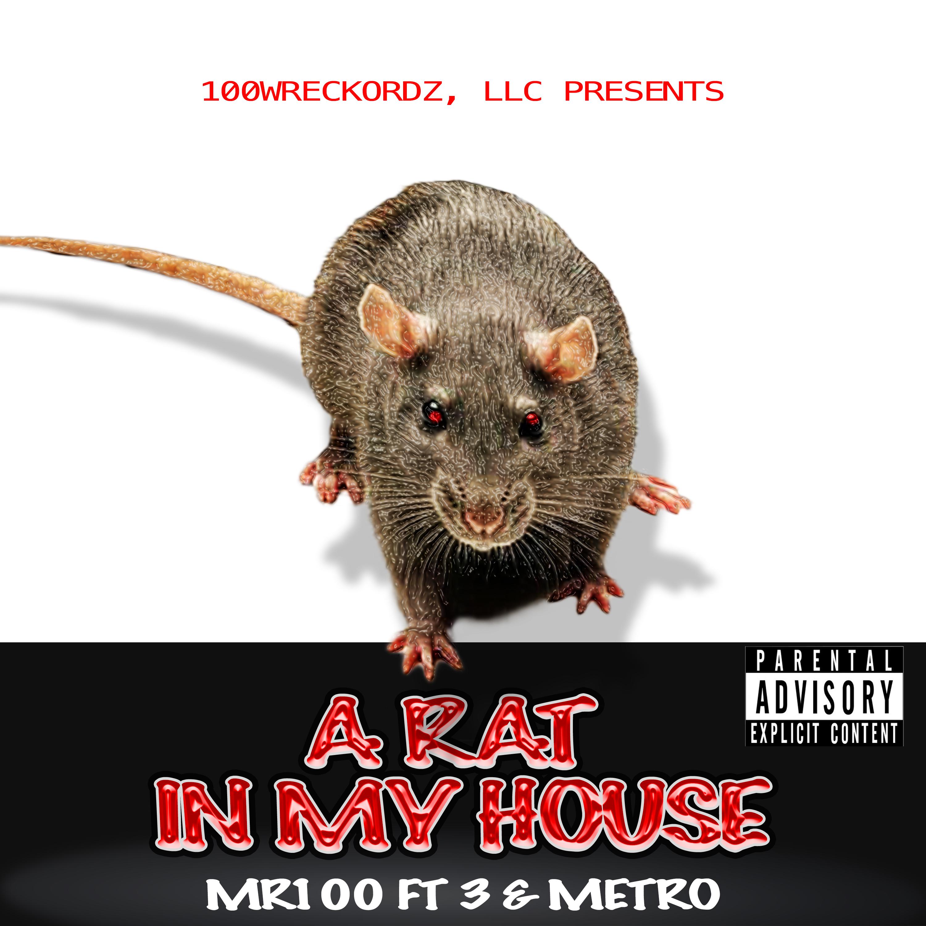 A Rat in My House ft 3 & Metro
