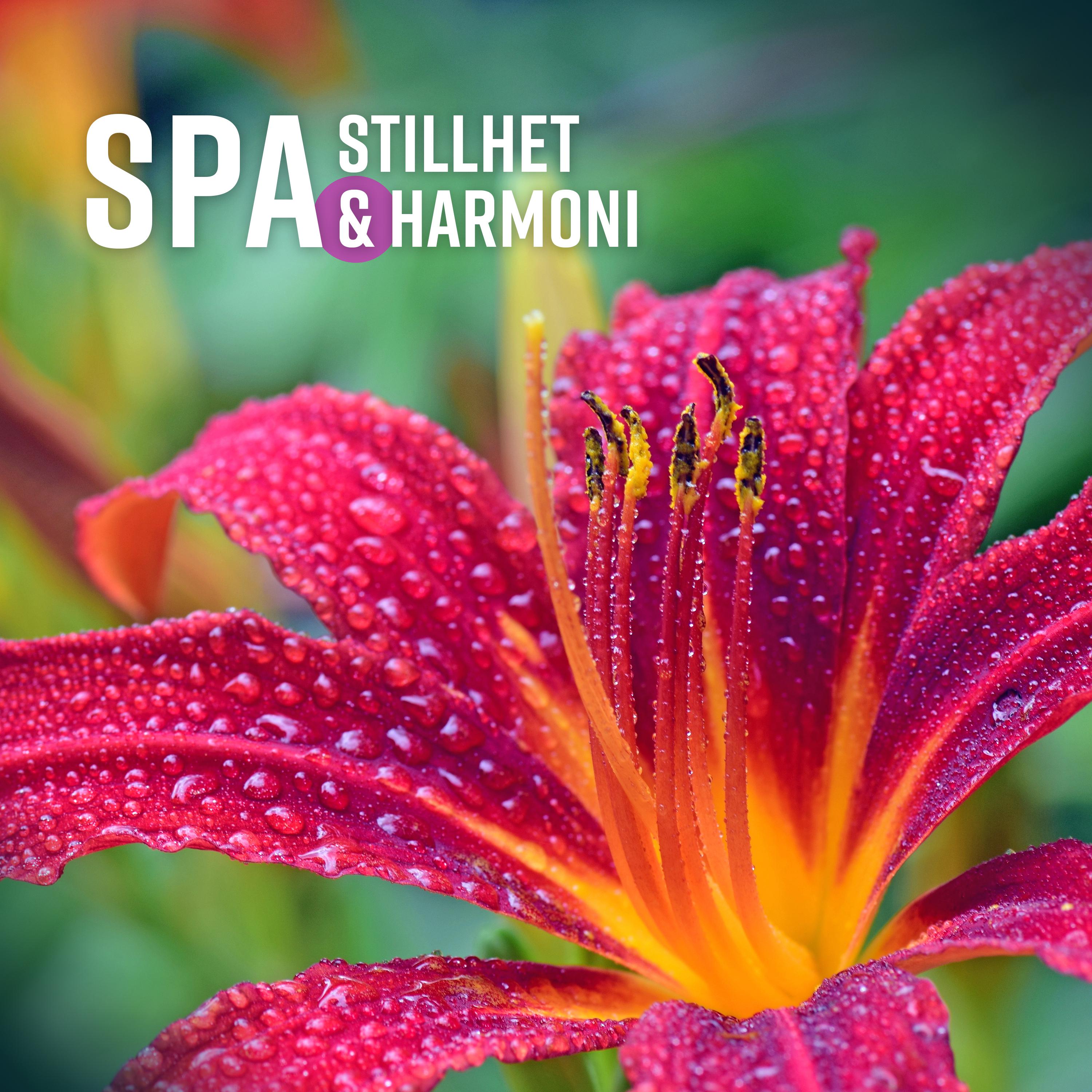 SPA  Stillhet  Harmoni, Koppla av, Stillhet, Omfamnar k nslan i att bara vara, Stressfri zon, Lugn och rofylld st mning