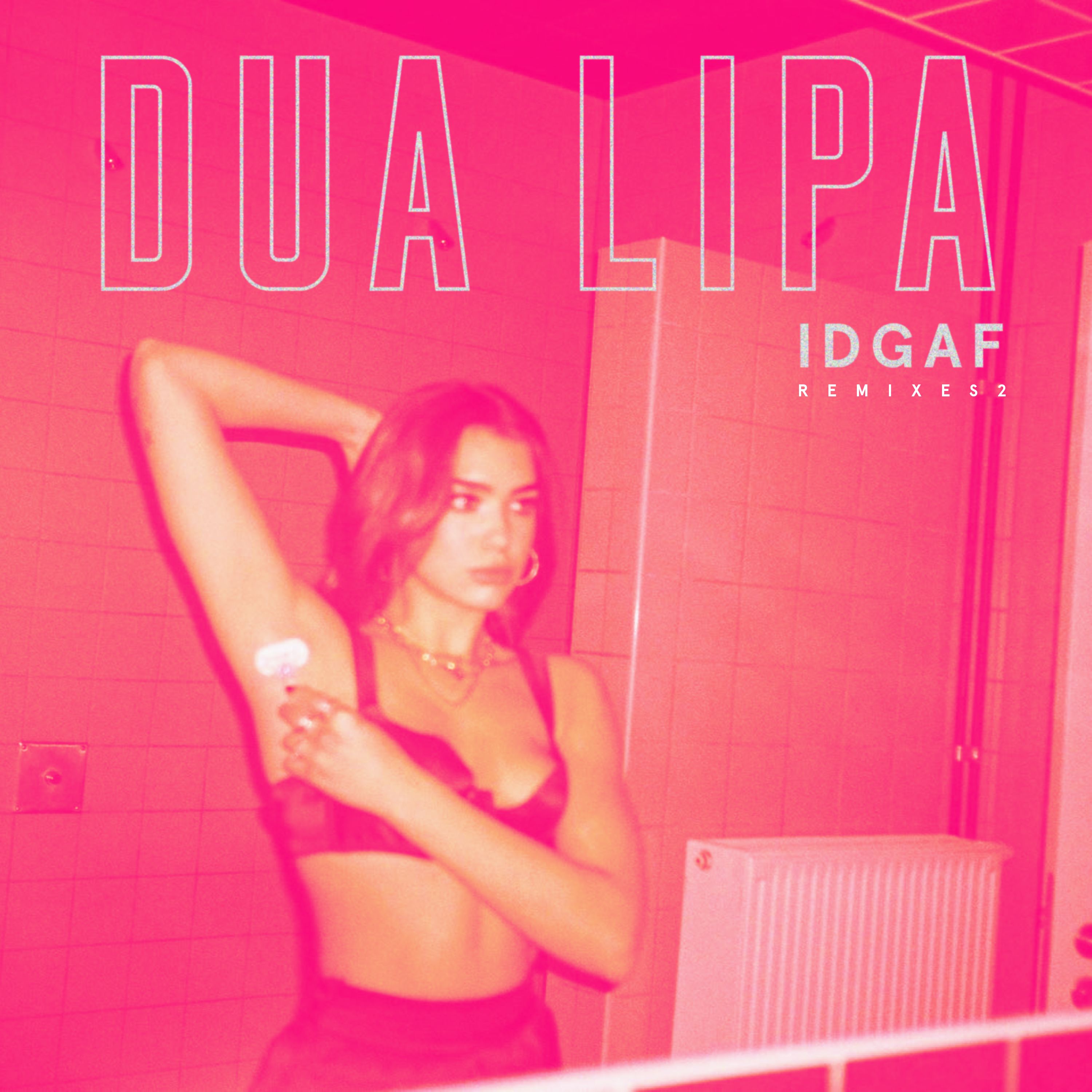 IDGAF (Remixes II)