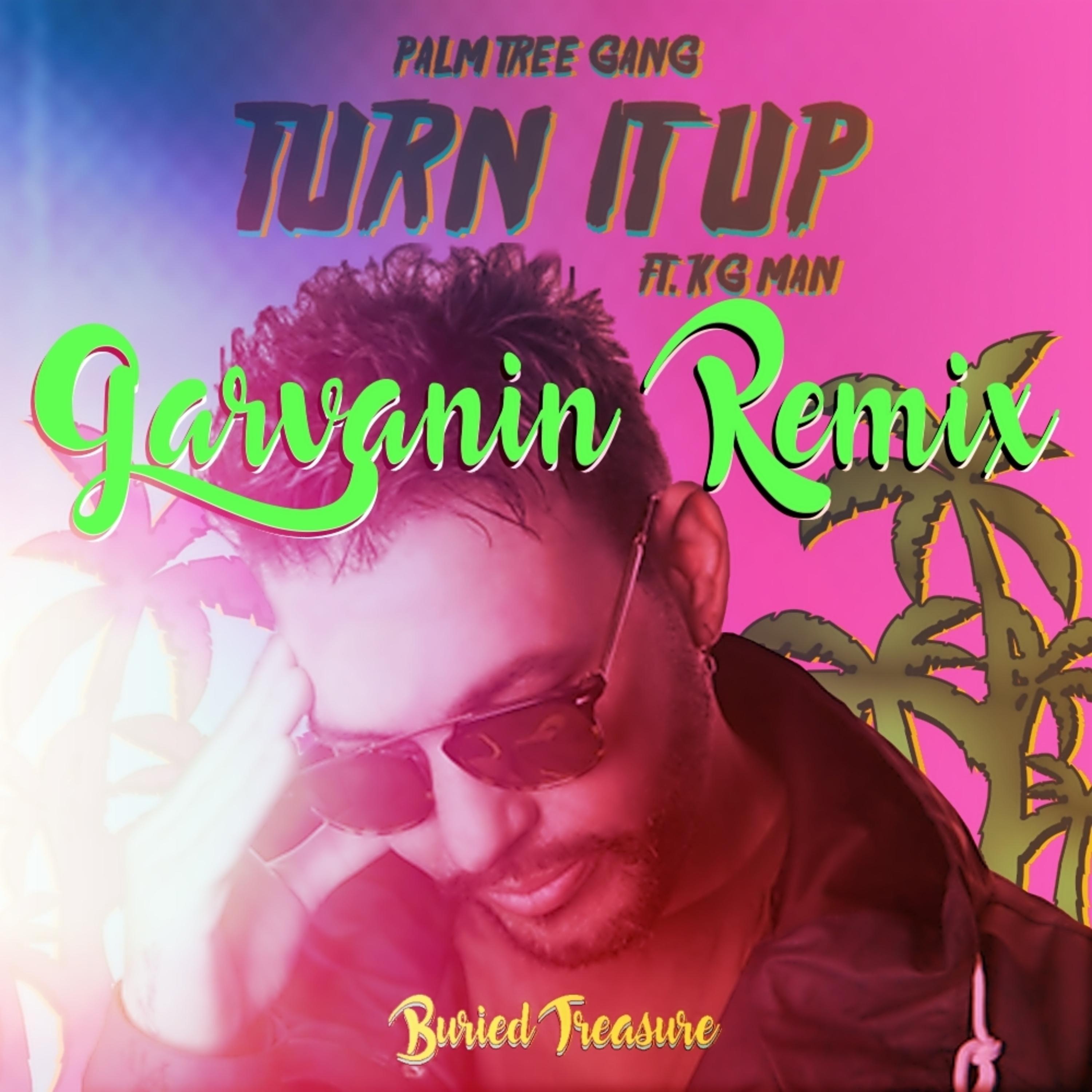 Turn It Up (Garvanin Remix)