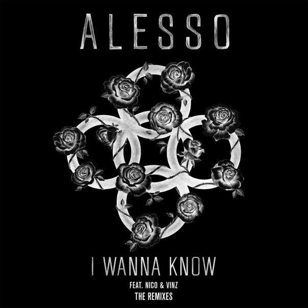 I Wanna Know (Ansolo Remix)