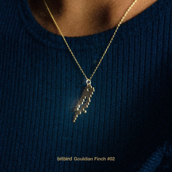Gouldian Finch #02
