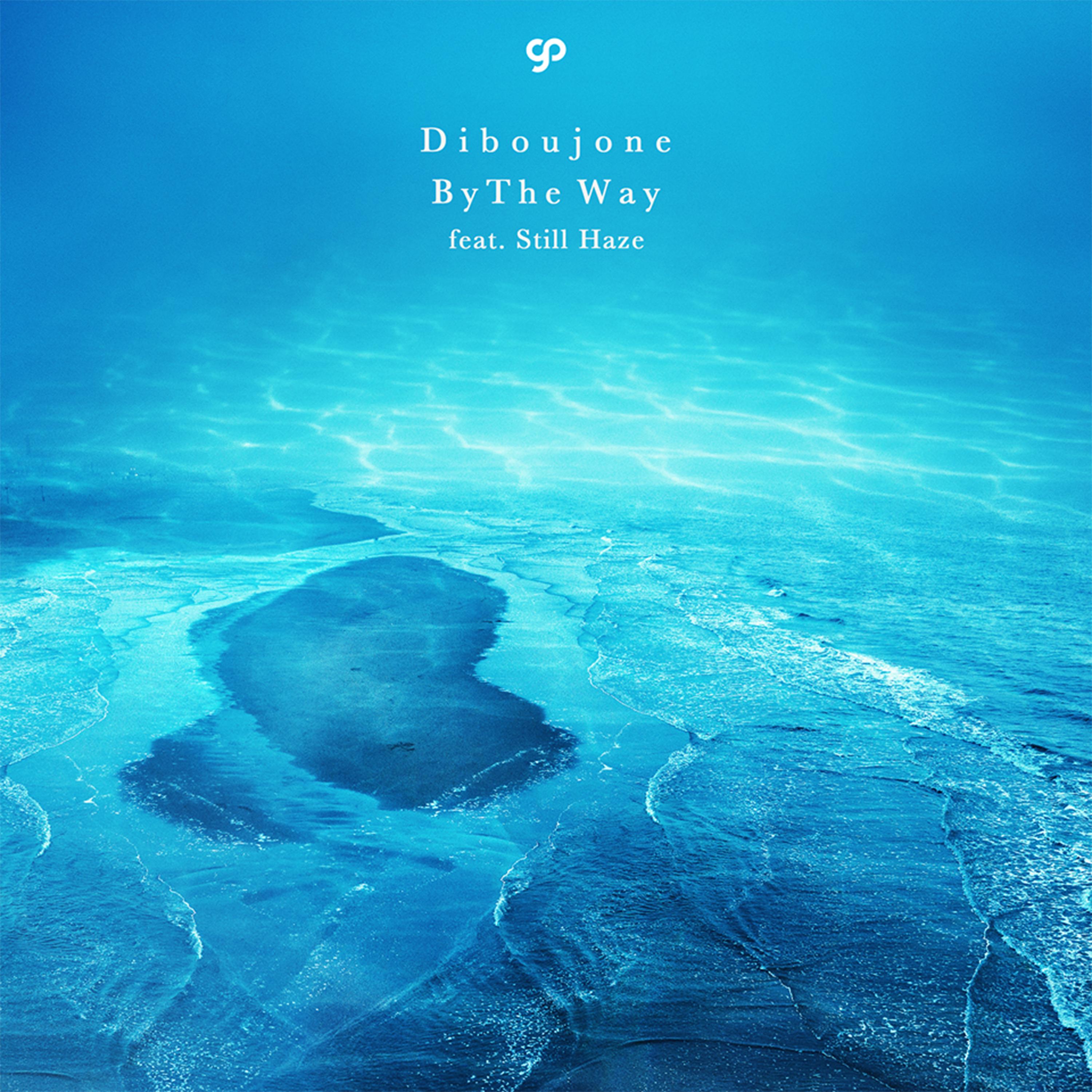 [By The Way] (feat. [Still Haze])