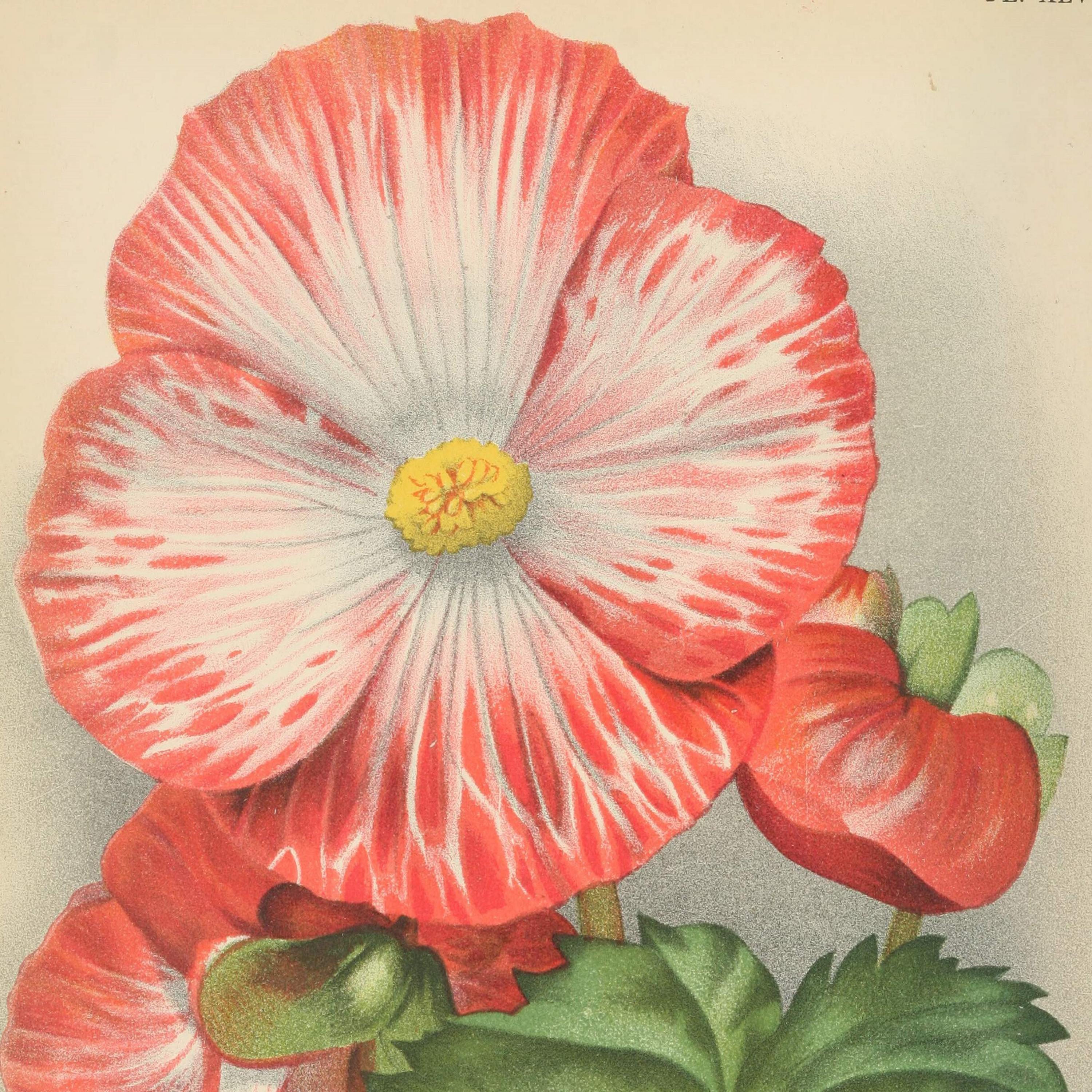 zu viel schlaf macht mü de