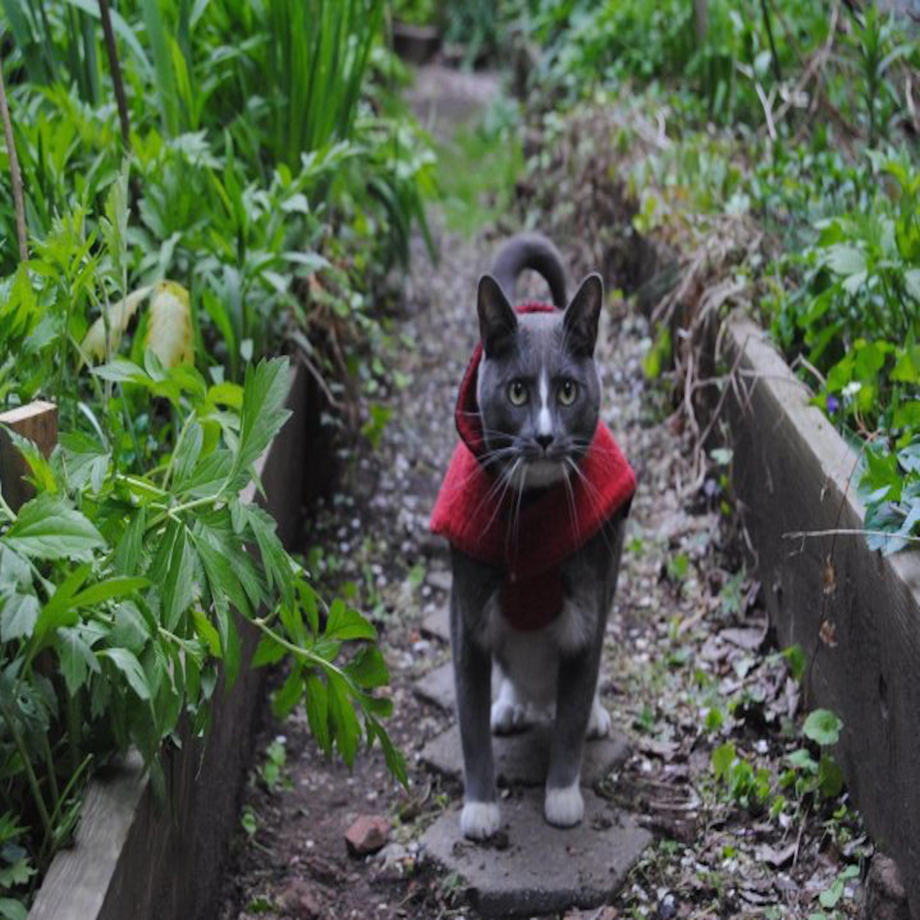 Wisps (Feat. Eli Colburn)