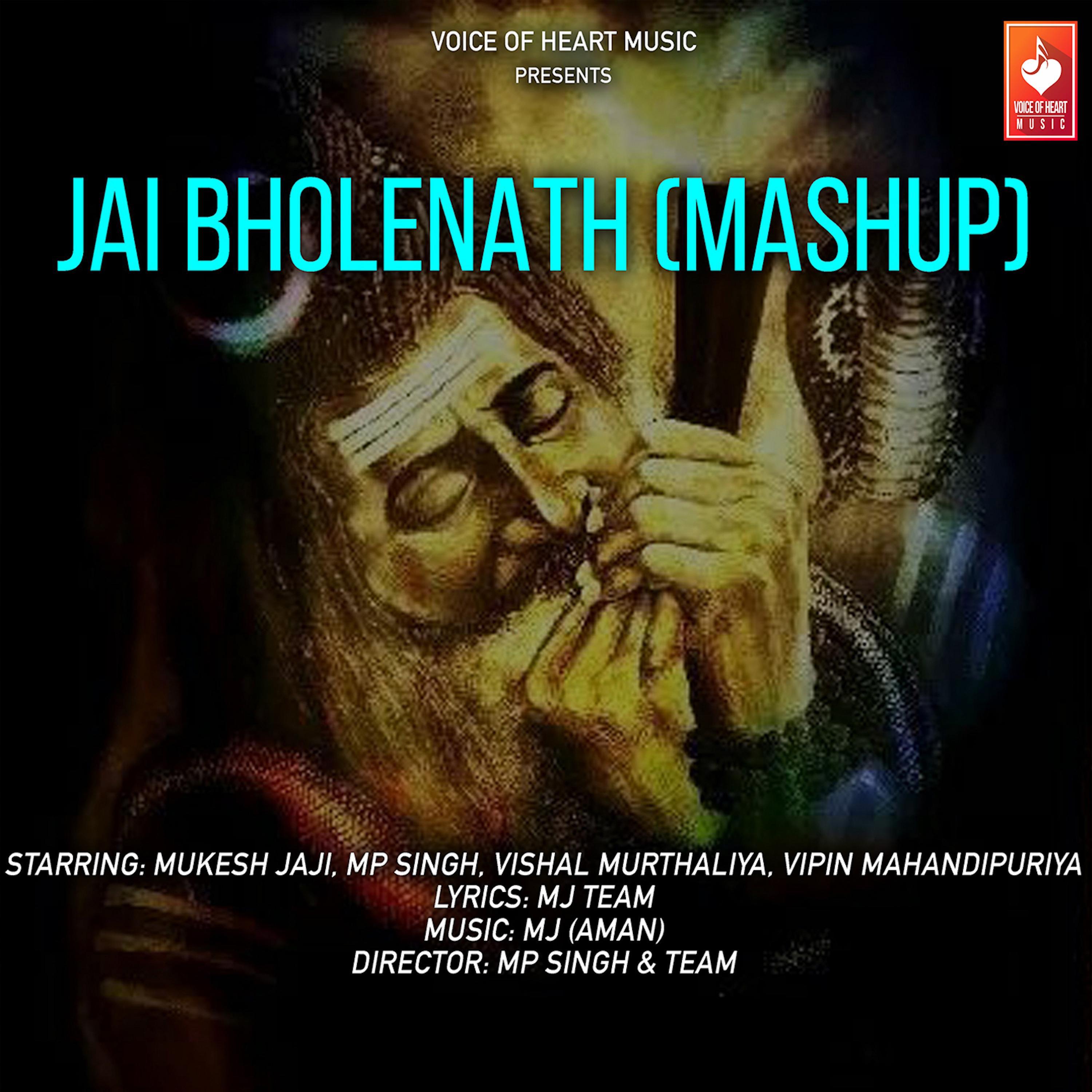 Jai Bholenath - Single