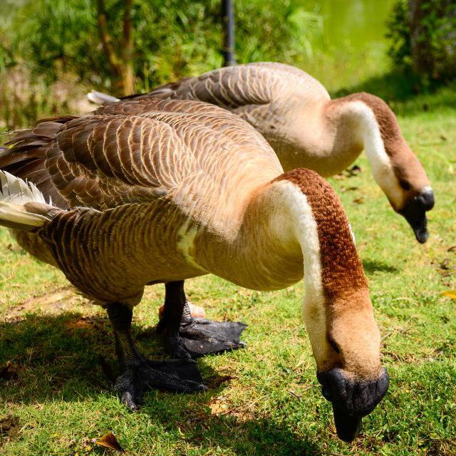 er zhong yu wo feng yu tong zhou