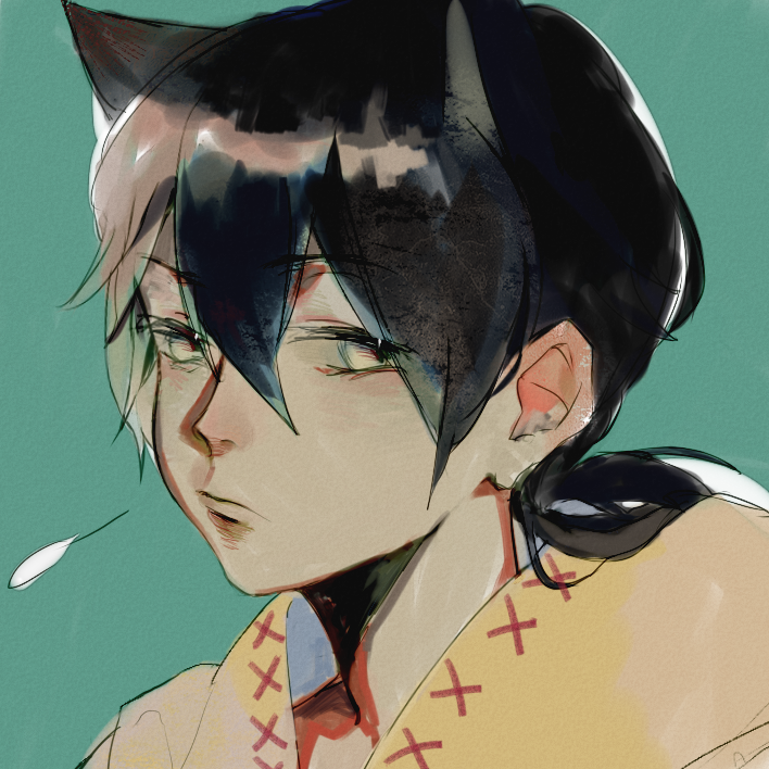 bao bing xun qing Cover: lin yuan hui mei