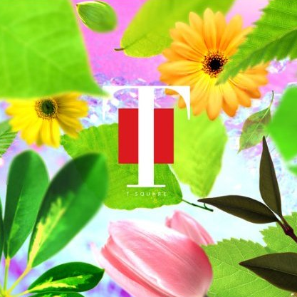 meng qu TSQUARE plays THE SQUARE