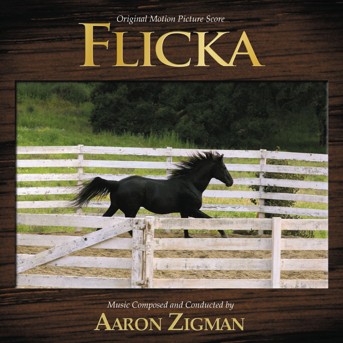Flicka Chase