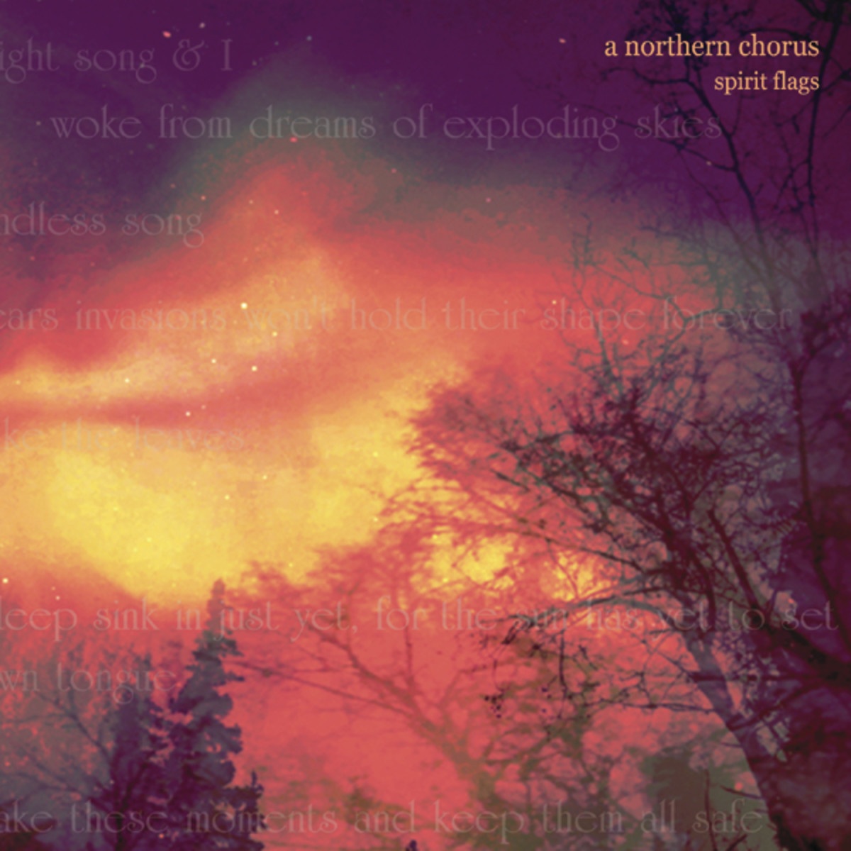 Let The Parrots Speak for Themselves