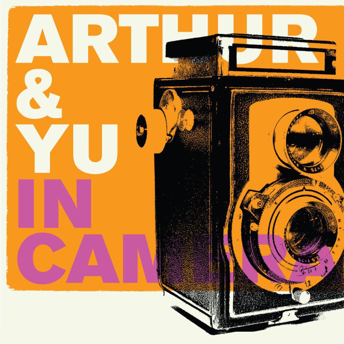 There Are Too Many Birds