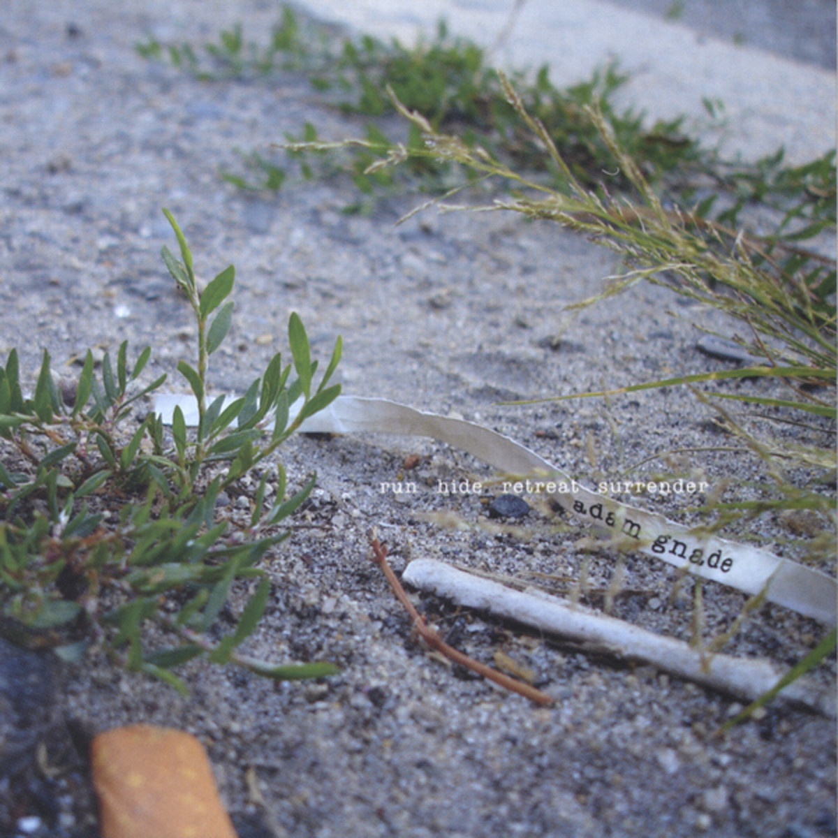 Shout the Battle Cry for Freedom