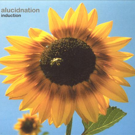 The Art of Conversation