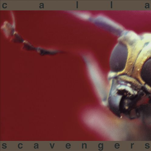 A Fondness for Crawling