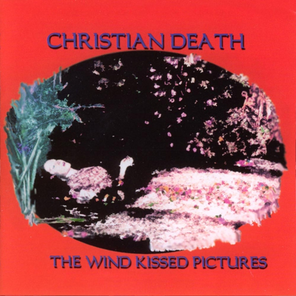 The Wind Kissed Pictures