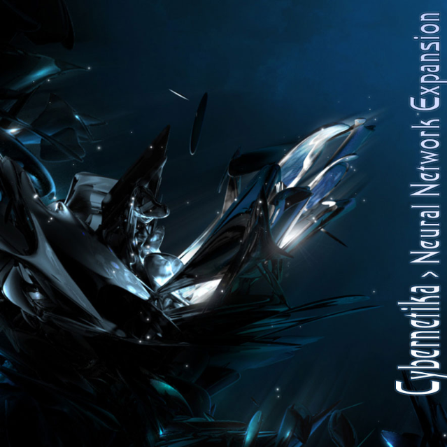 Neural Network Expansion