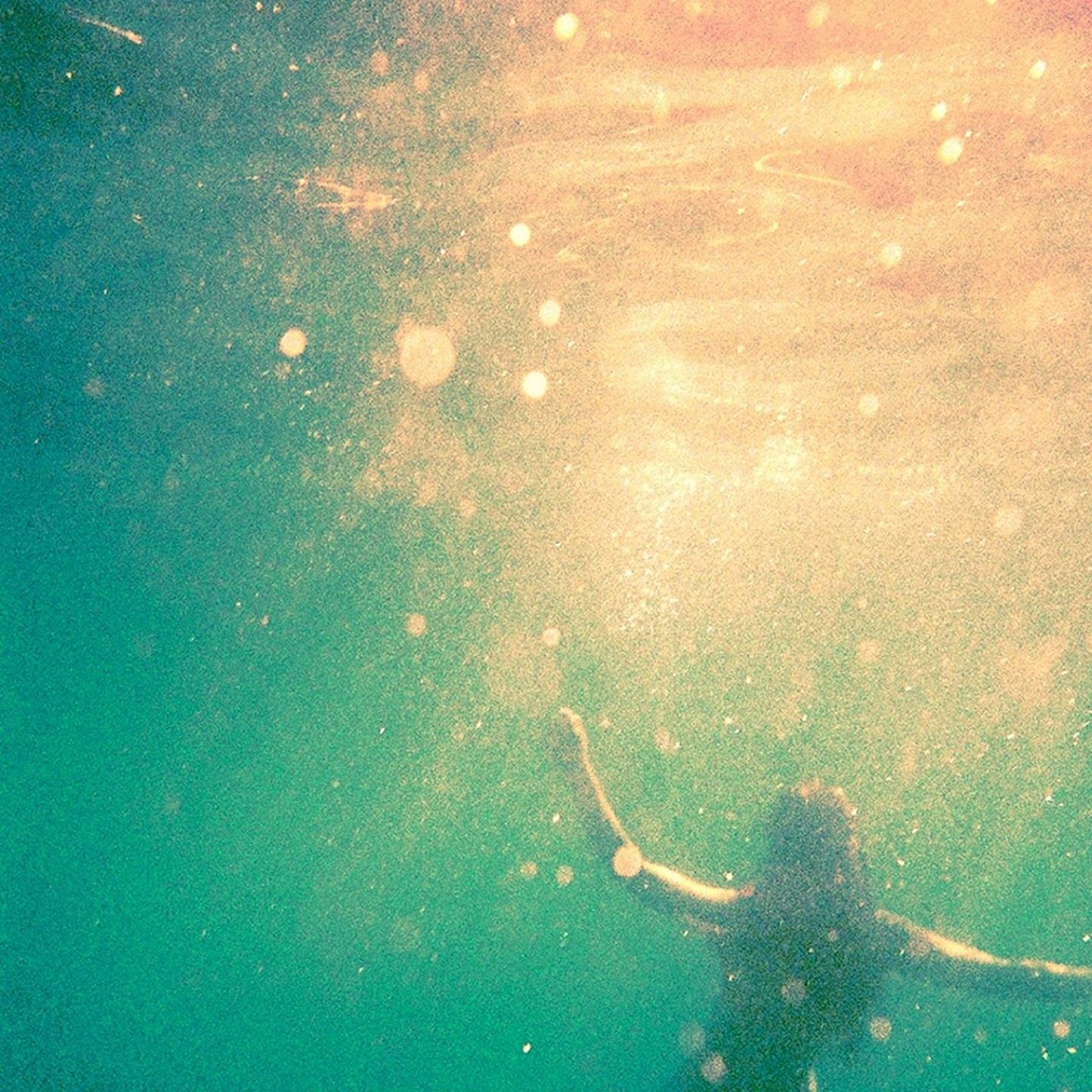 Inside Our Glasshouse