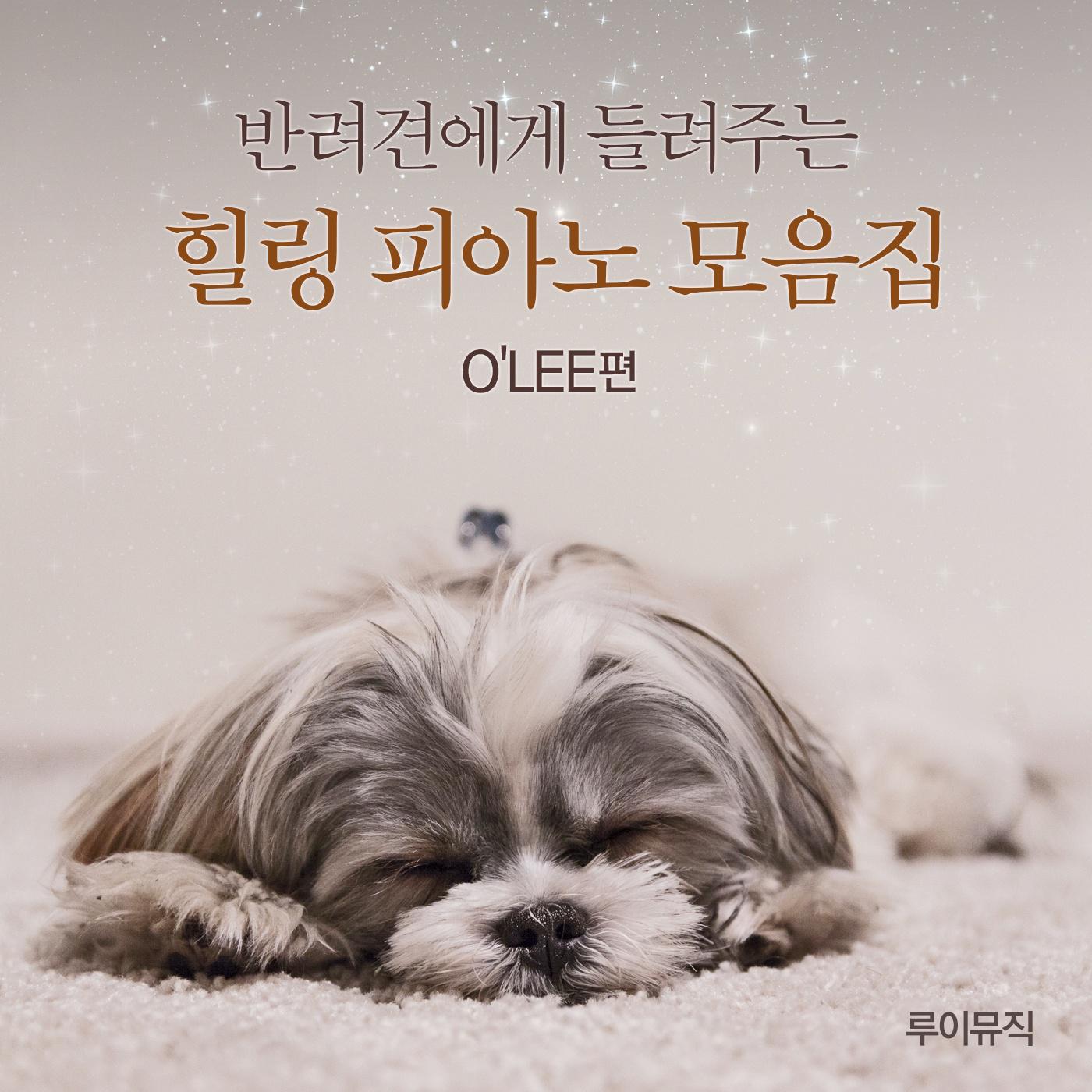 Cherryblossom Falling