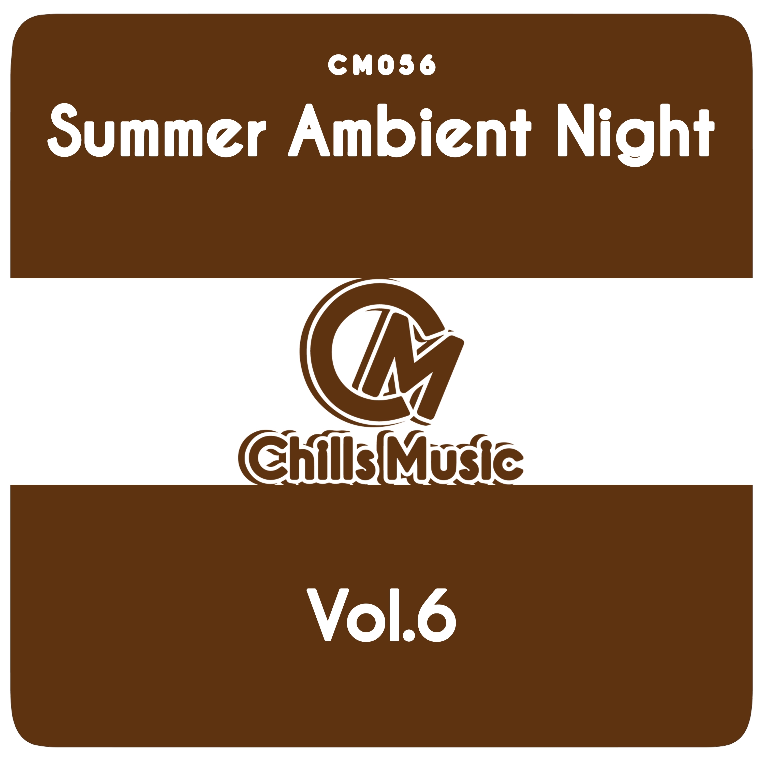 Summer Ambient Night, Vol. 6