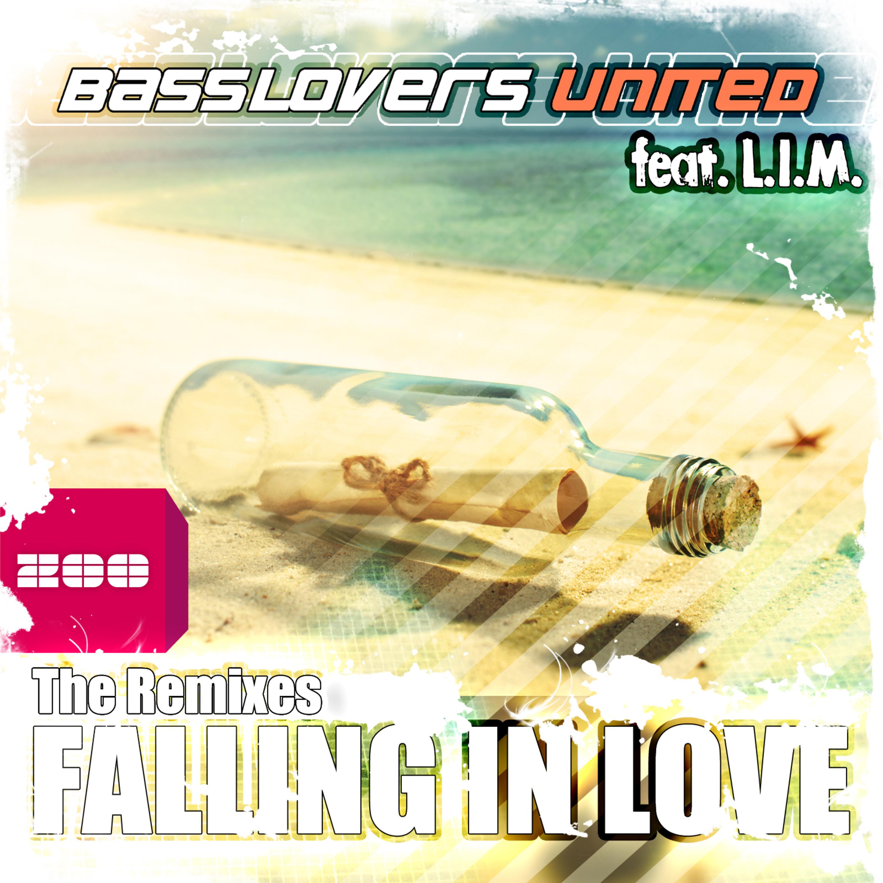 Falling in Love (CombiNation Radio Edit)