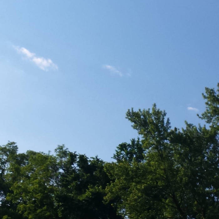 you're the only girl i wanna go out with