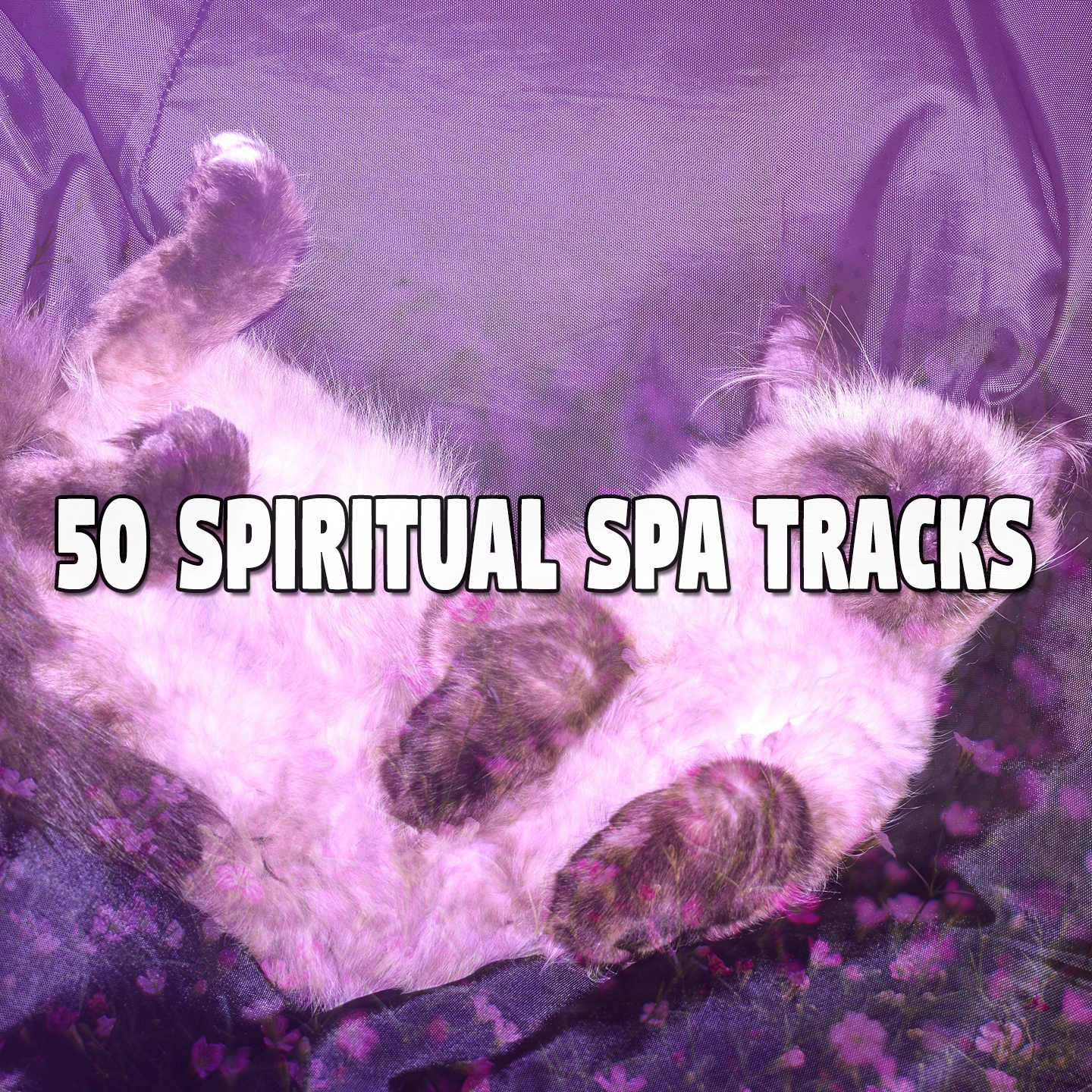 50 Spiritual Spa Tracks