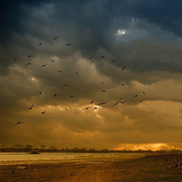 ji gei ni quan yu zhou de ai he zi tai gu zhi yong jie de si nian