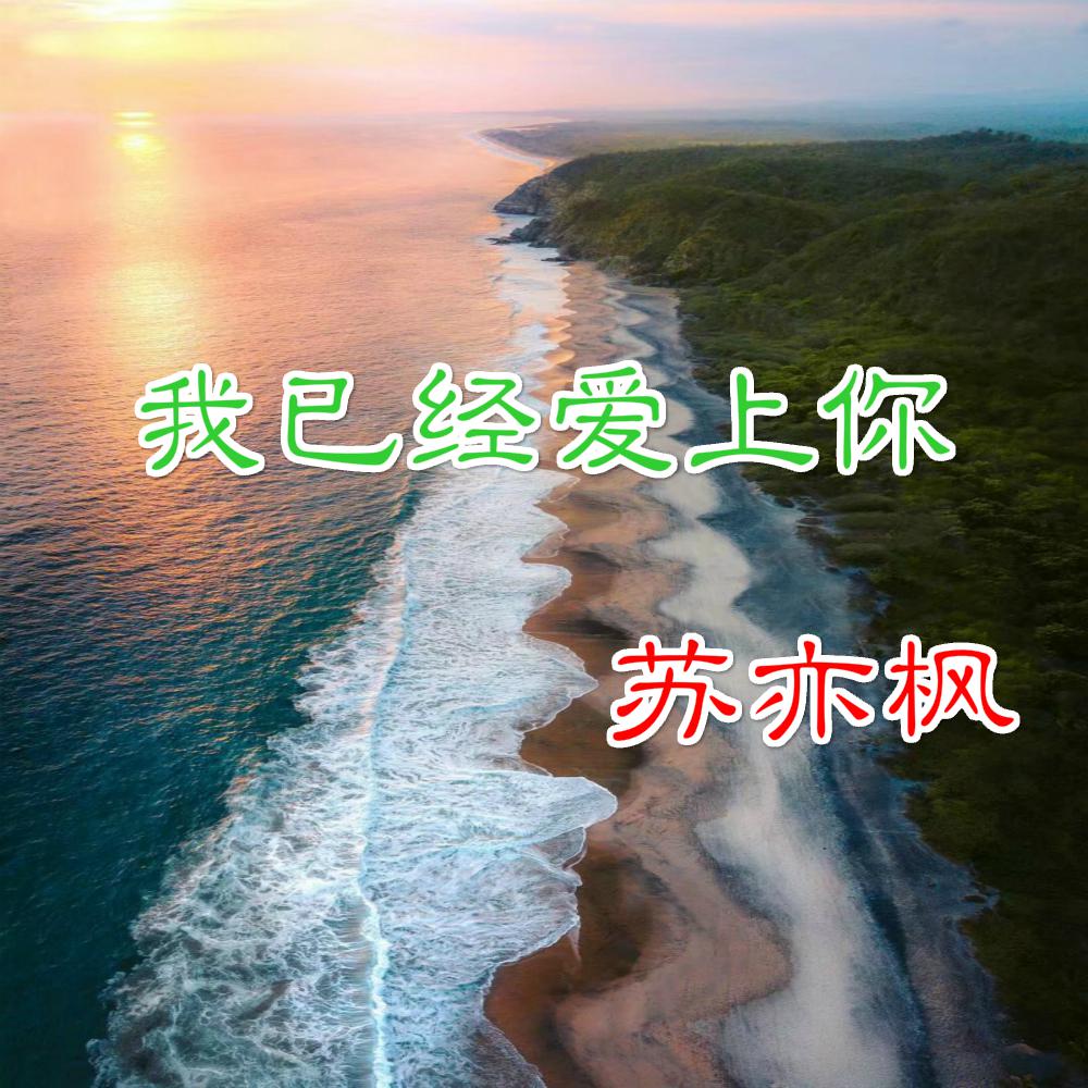 san nian qian de she hui yao Remix