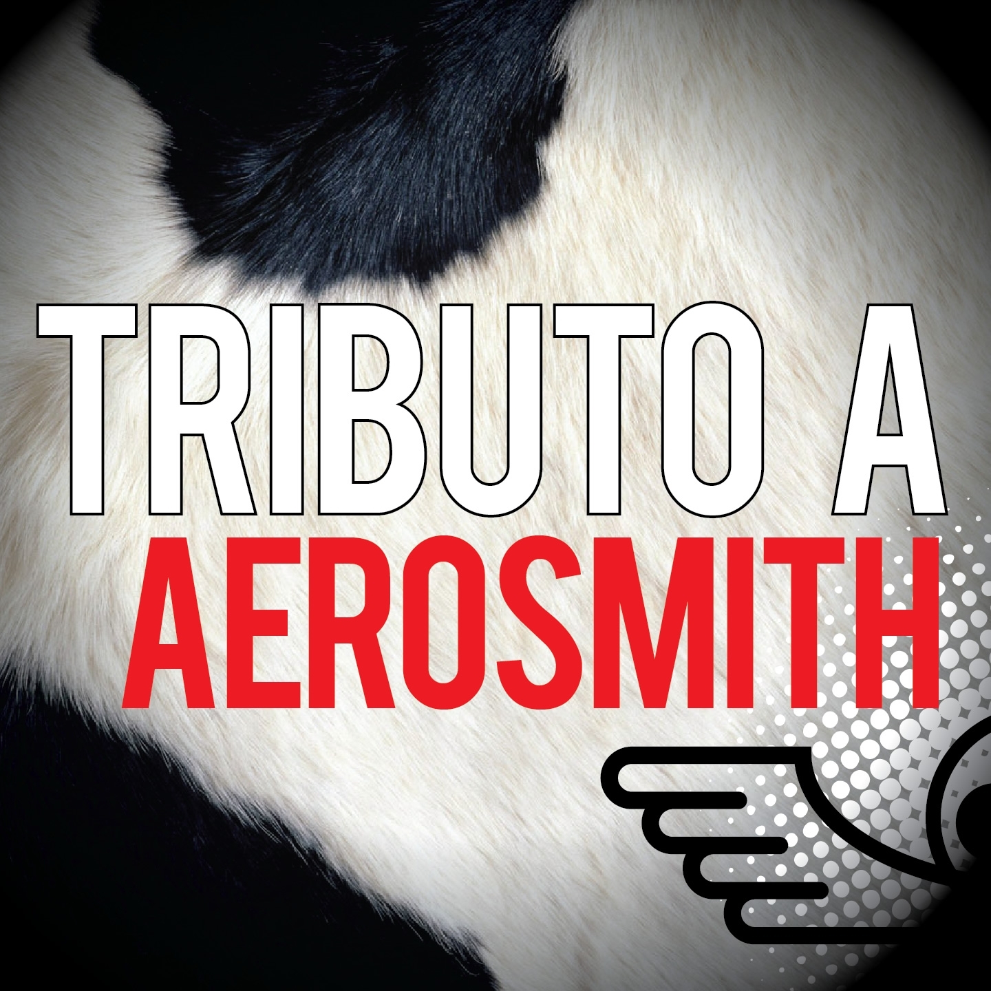 Tributo a Aerosmith