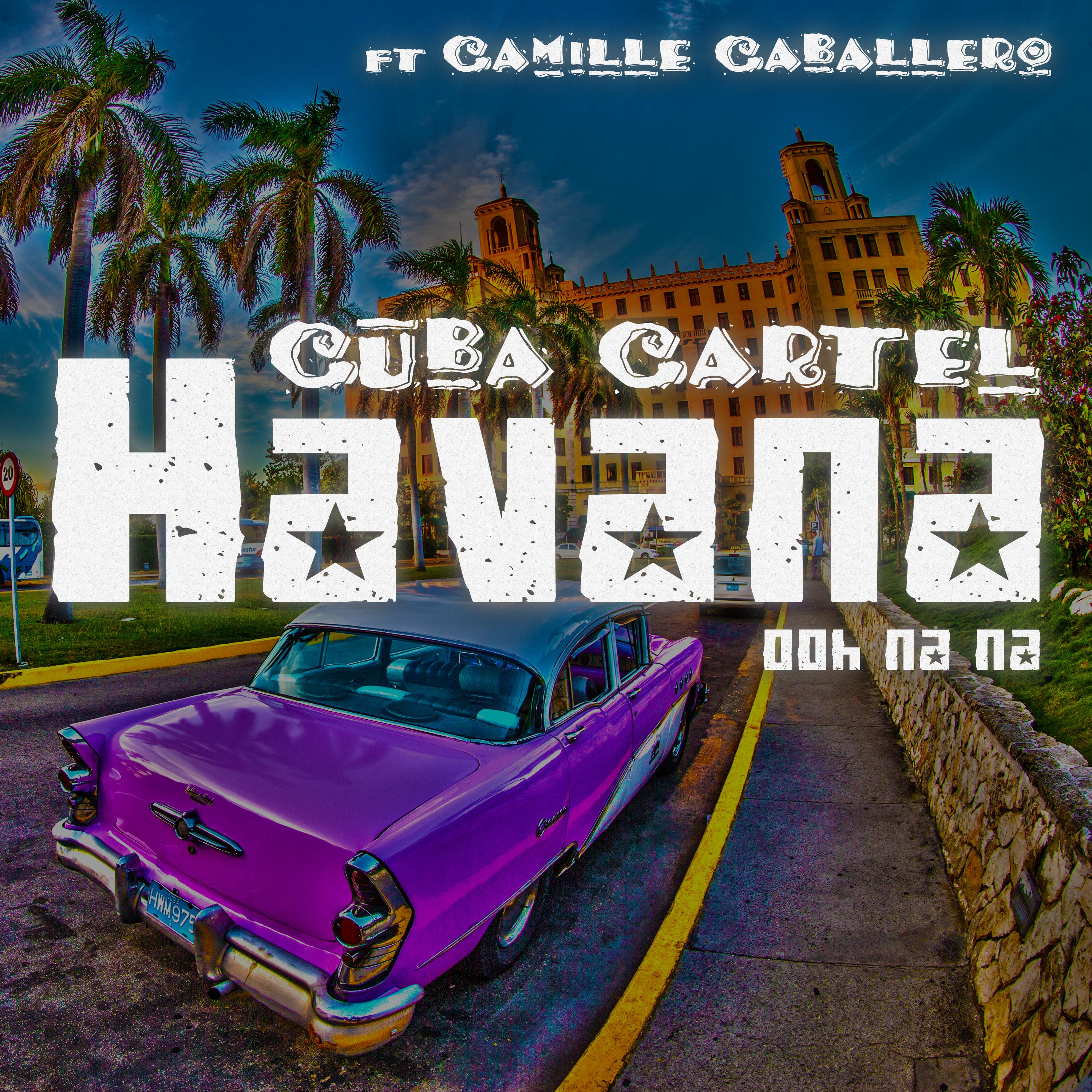 Havana (Ooh Na Na) (Acoustic Unplugged Remix)