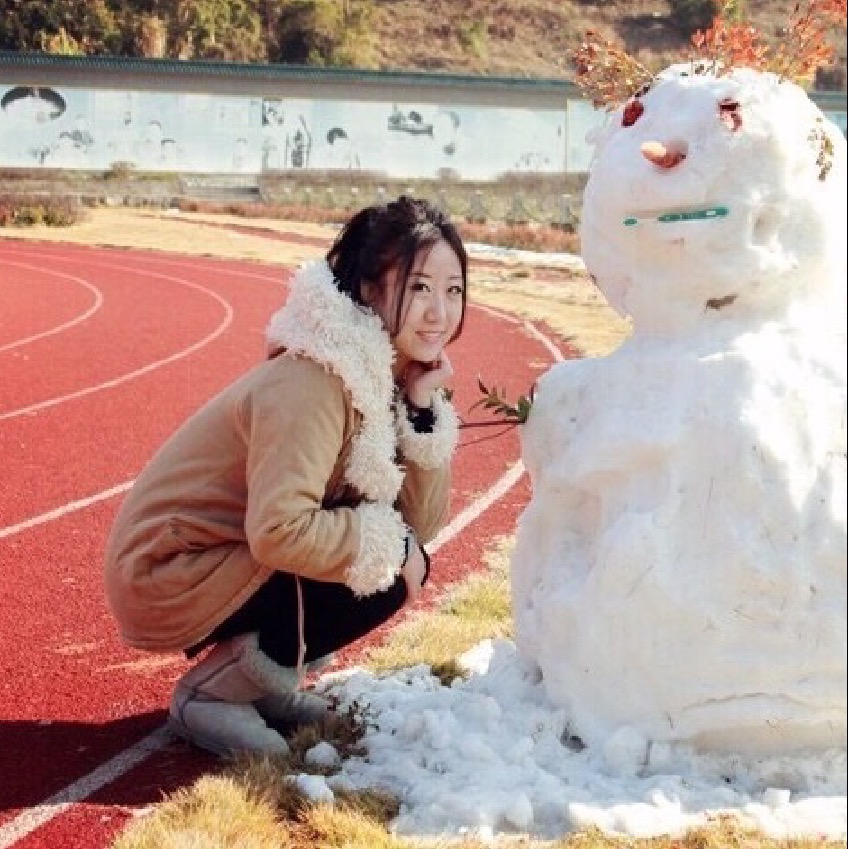 liu tao  hong yan jiu  xiao ti qin ban ben