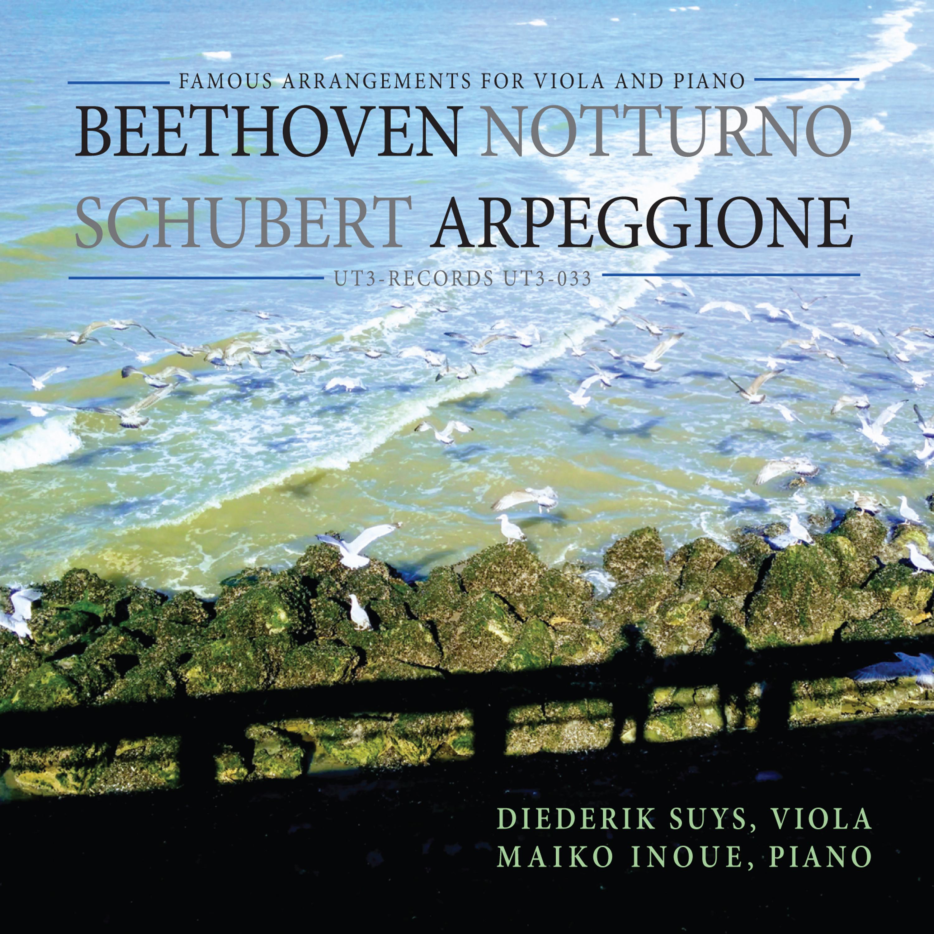 Arpeggione Sonata for Viola and Piano in A Minor, D. 821: I. Allegro moderato