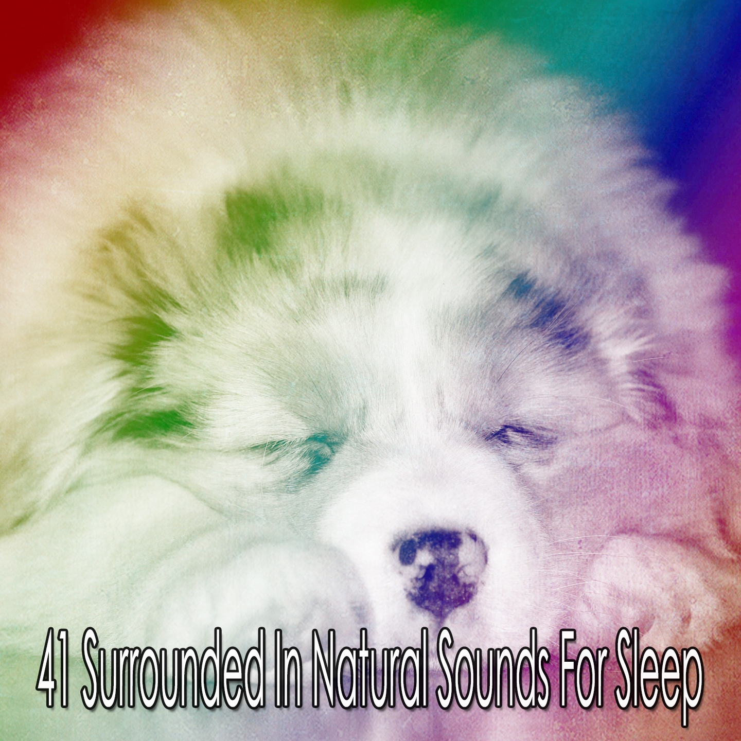 41 Surrounded In Natural Sounds For Sleep