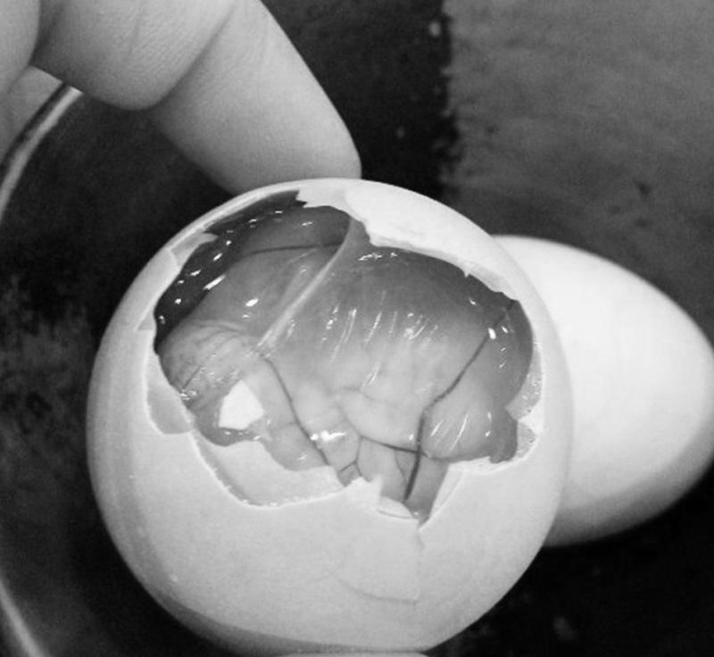 fang shan nan you liang wo de zi xing che Demo