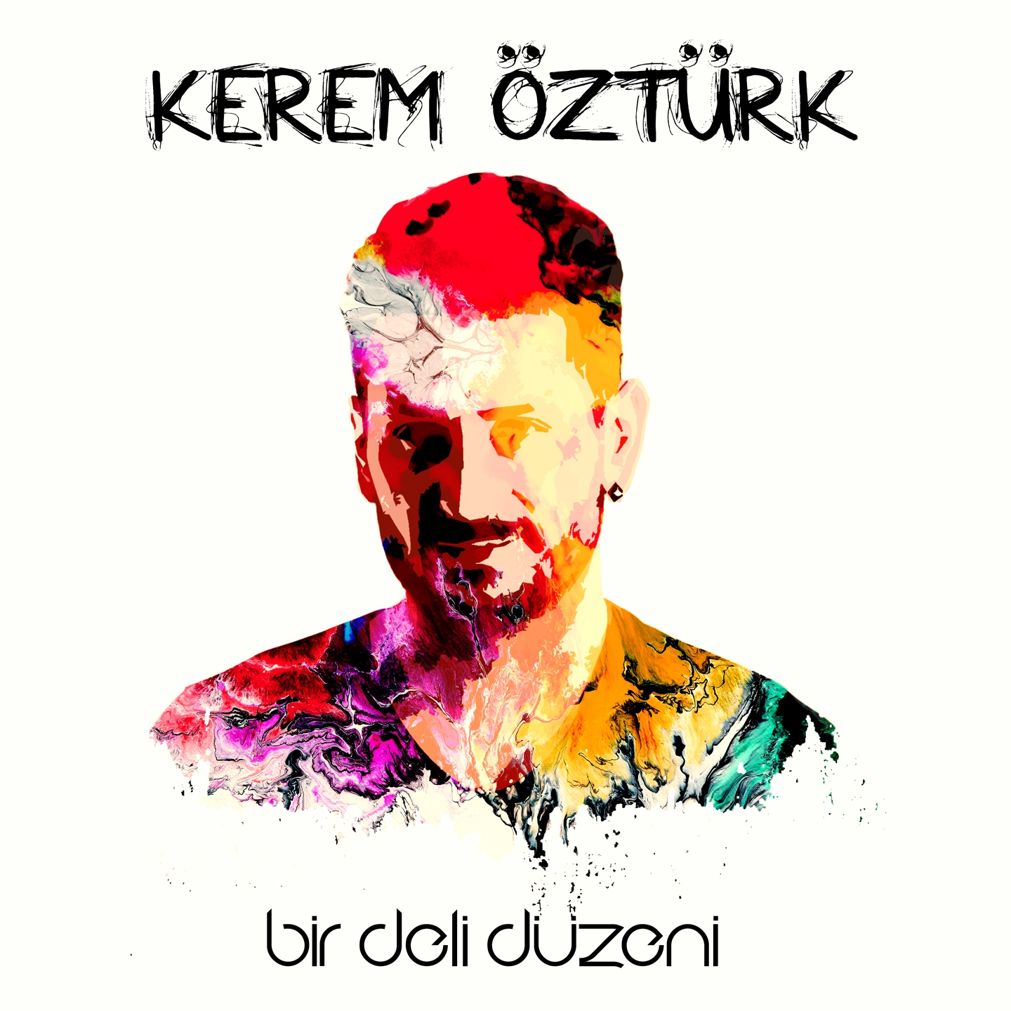 Bir Deli Dü zeni