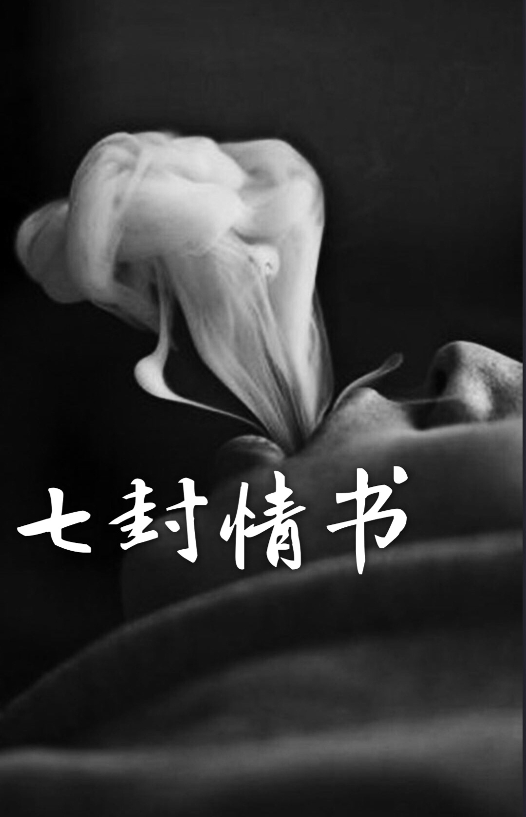 qi feng qing shu ban zou