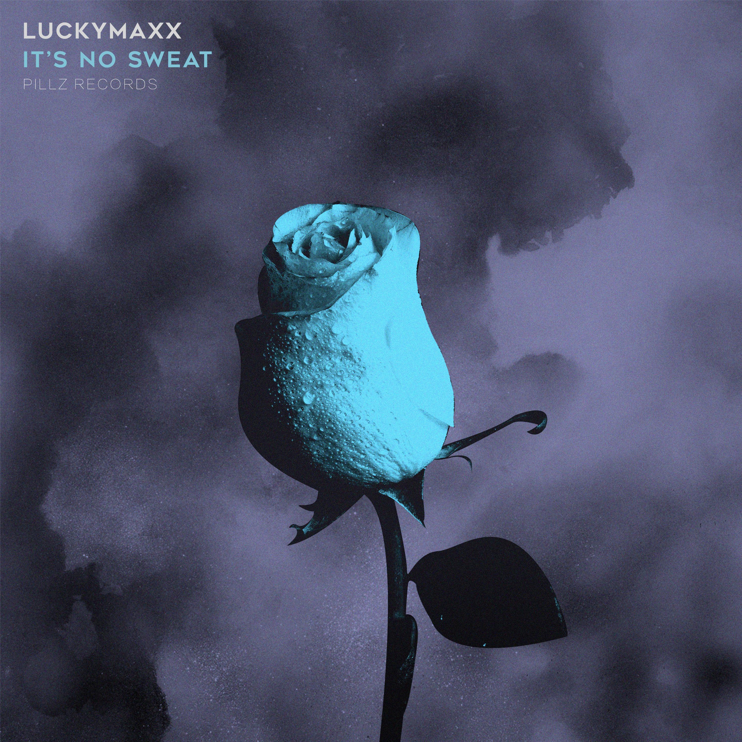 It' s No Sweat zhong wen ban