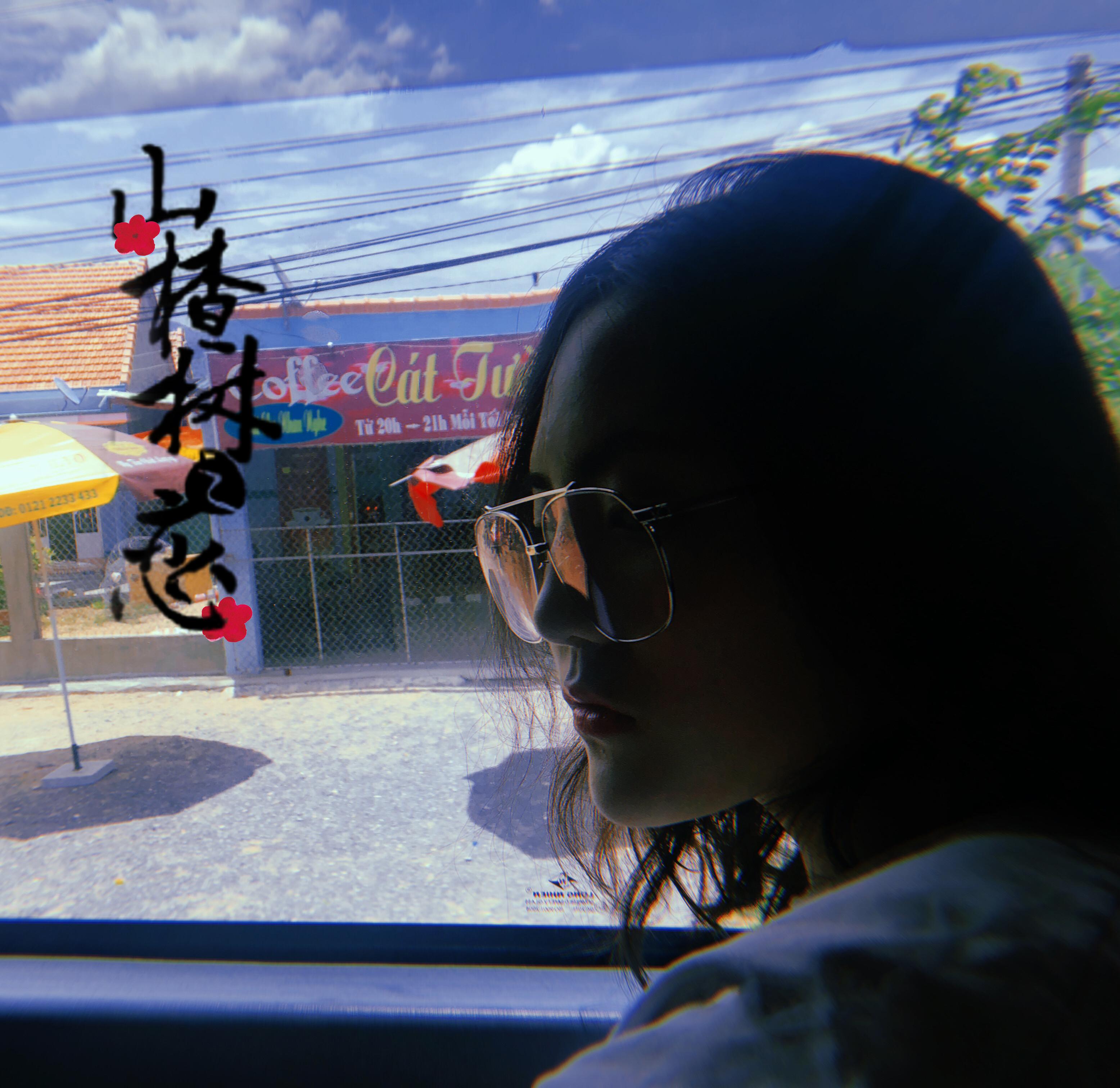 shan zha shu lian cover: da neng ren