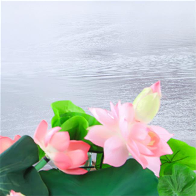 zhuang zi xiao yao you xia