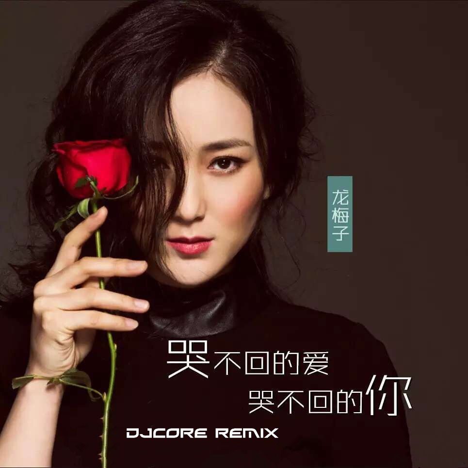 long mei zi  ku bu hui de ai ku bu hui de ni DjCore Remix