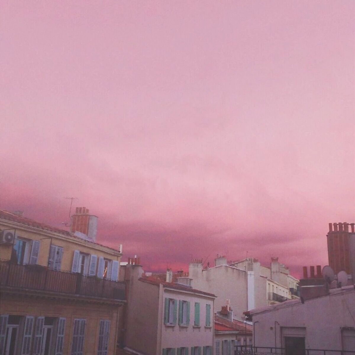 lang zi hui tou fan zi qie zi dan