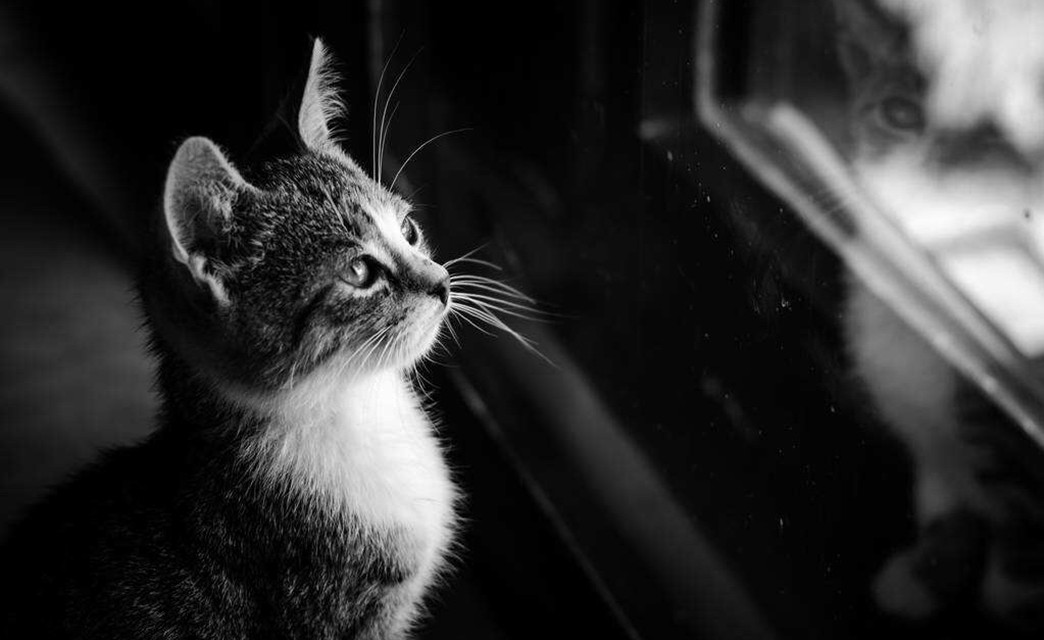 hai shi hui xiang qi ban zou